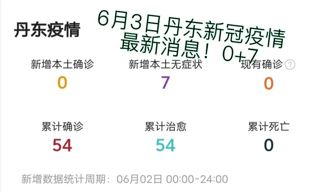 丹东新型肺炎最新动态更新