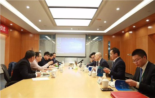 绿叶最新政策探索，小巷独特风味揭秘