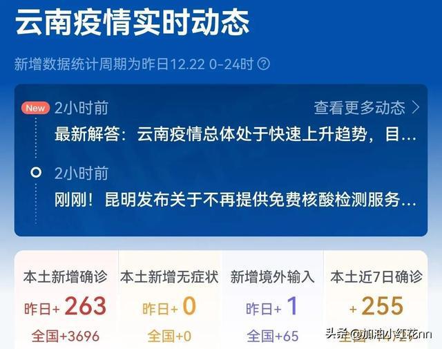 疫情最新数据消息更新📰