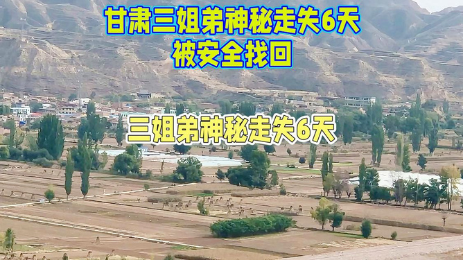 甘肃东乡最新事件详述，探究背后的真相与进展