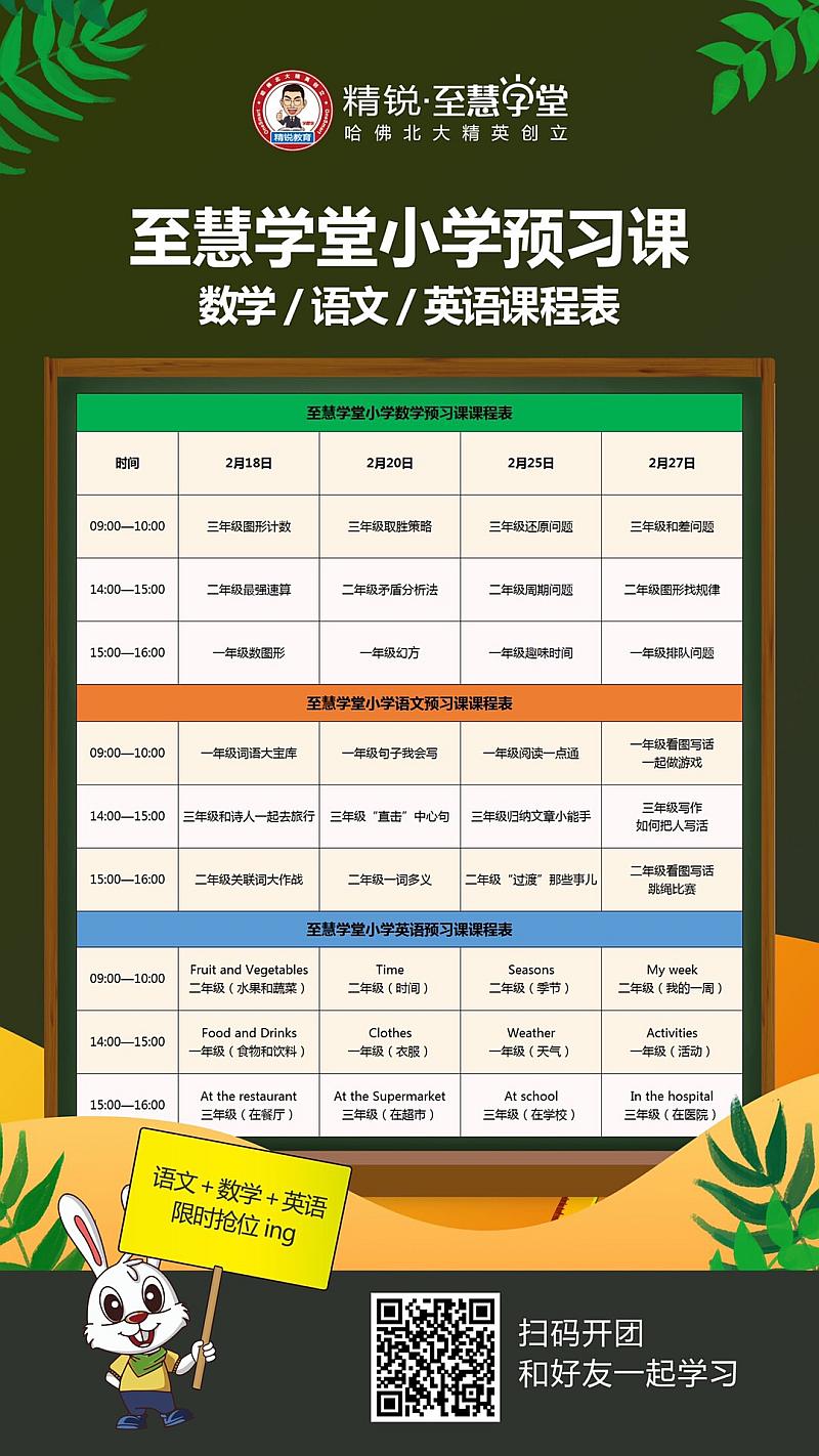 学训宝最新动态揭秘，小巷中的隐藏宝藏探索