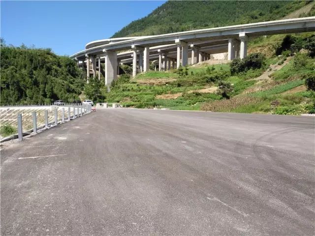 青冈最新消息,青冈最新消息——一个温馨有趣的日常故事