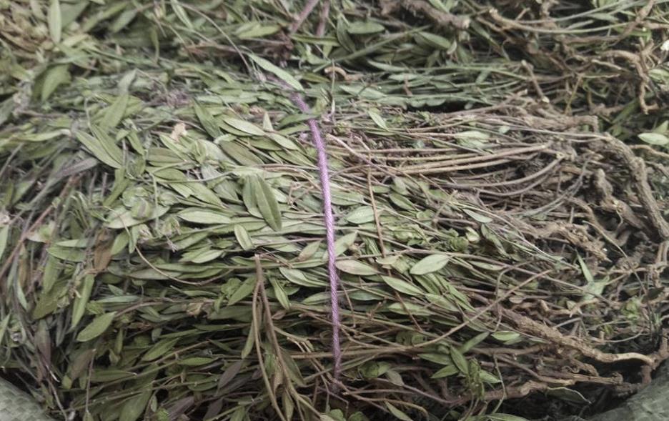 有色金属 第89页