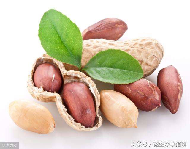 皇路店花生米最新售价及购买指南