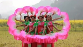 最新广场舞扇子舞教程,最新广场舞扇子舞教程，全面解读与观点阐述