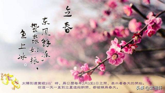 最新左岸春风一语断，解读与观点阐述