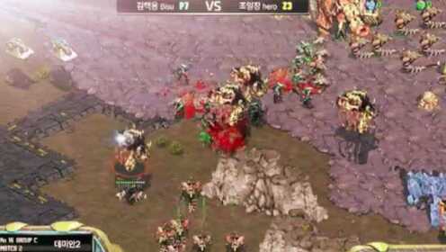 星际争霸赛场风云，战场人生变化与成长之路揭秘