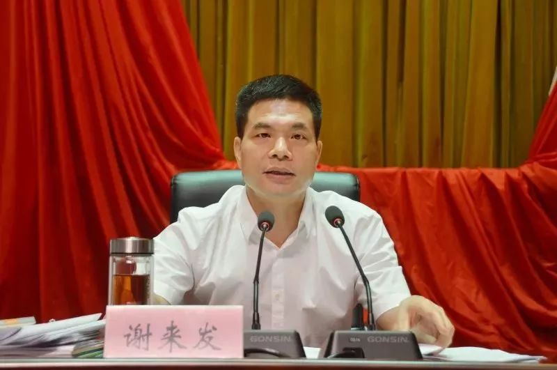 谢来发最新动态，引领探索前沿领域的先锋