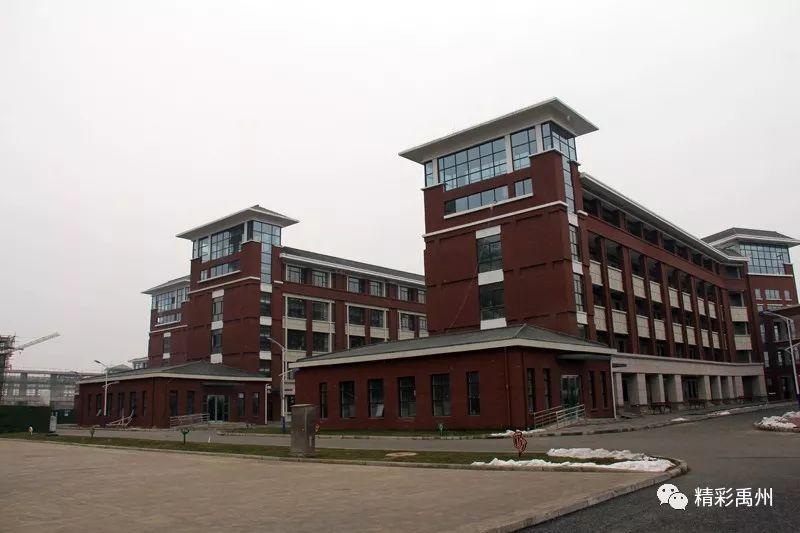 禹州市最新开工建设项目概览