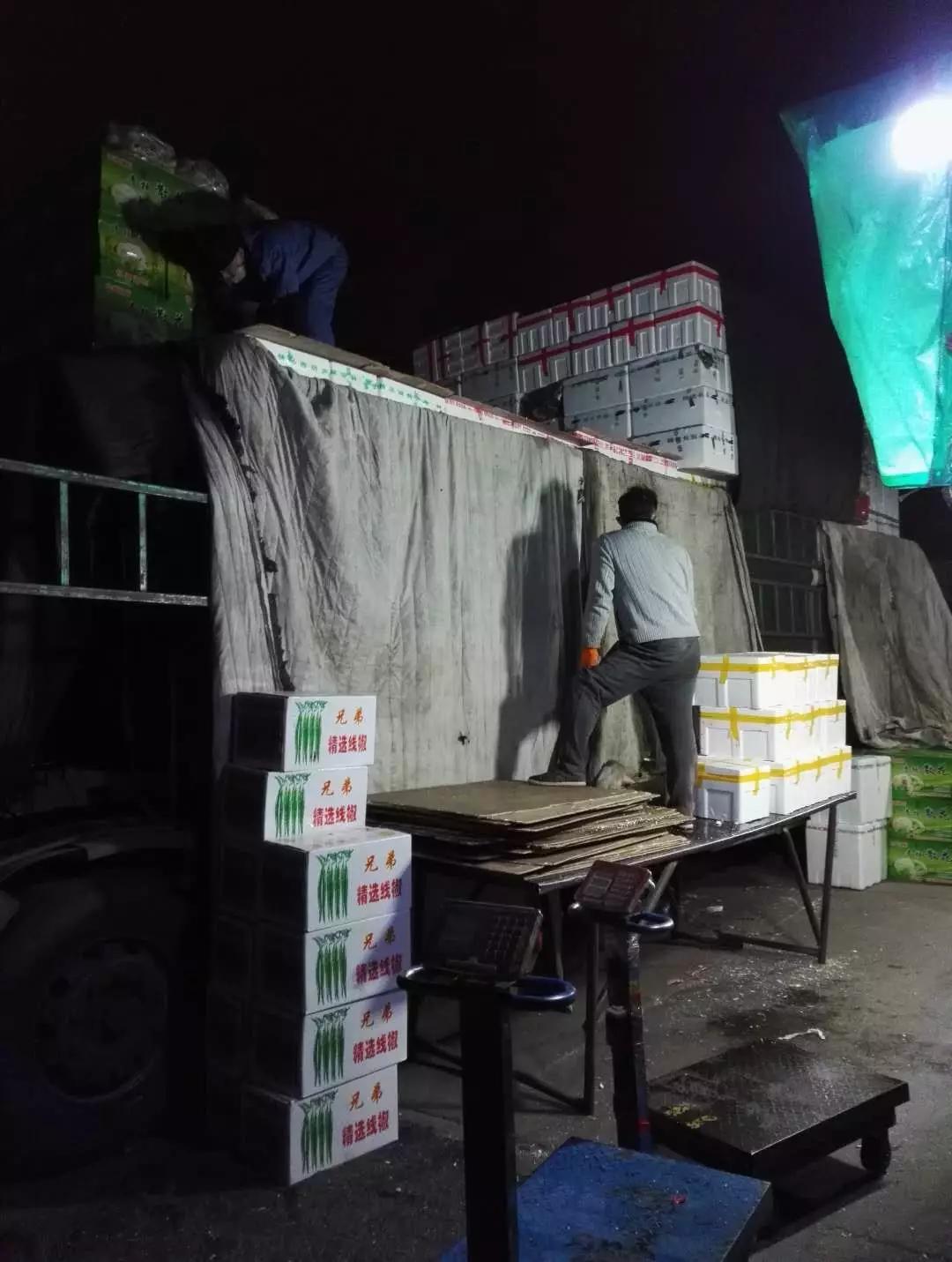 唐山土豆价格实时更新与动态分析