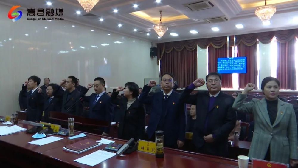 河南嵩县人事任免动态，小巷里的风云变幻与独特风味探索之旅