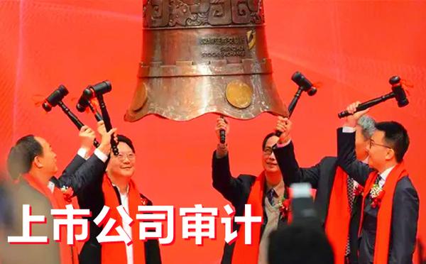 公司上市审计，探寻小巷中的独特小店的审计之路