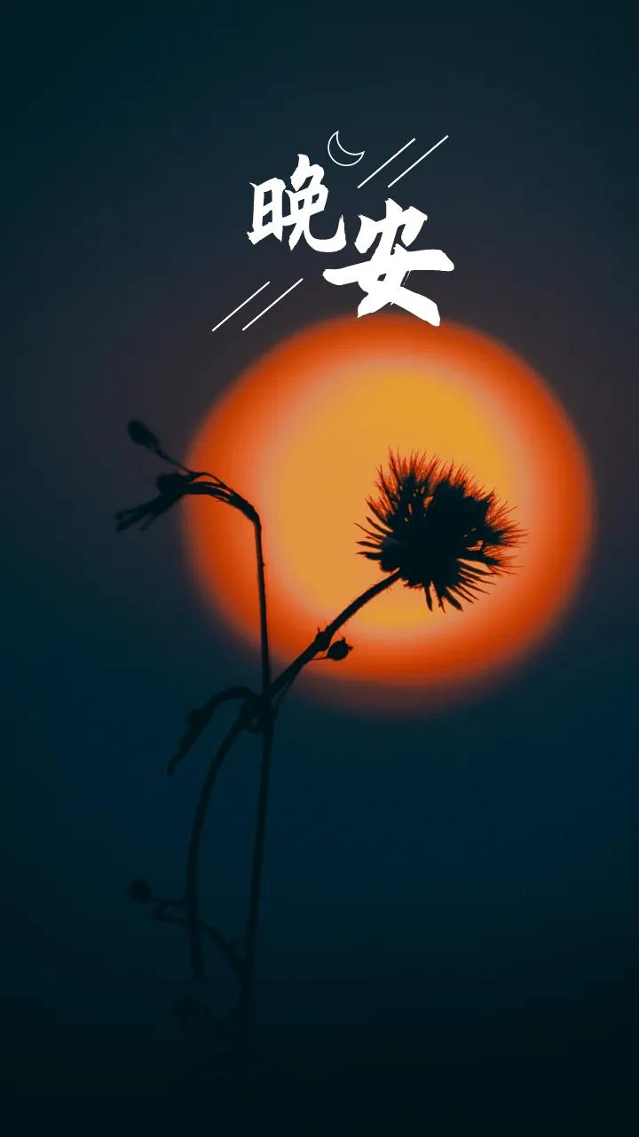 LostLLife最新版2.0中文版，全新体验与特色功能详解